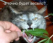 1297861253_1297864983_37.webp