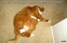 1297778320_093192c05f49c7898095a78e19c95955.webp