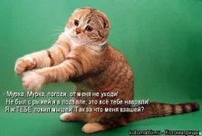 1297970777_334531.webp