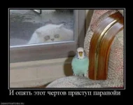 1297711750_1263983205_523071_i-opyat-etot-chertov-pristup-paranoji-.webp