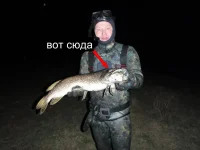 1ноября (116).webp