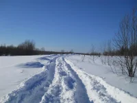 DSCN0199.webp