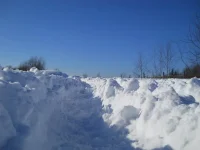 DSCN0200.webp