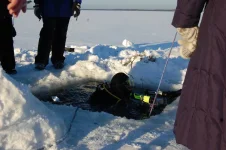 дуглас 041.webp