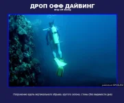 6.webp