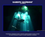 7.webp