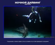 10.webp