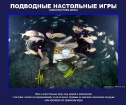 13.webp