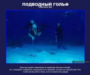 15.webp