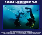17.webp
