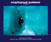 18.webp