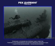 19.webp