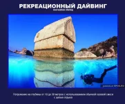 20.webp