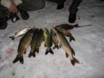 IMG_124311.JPG
