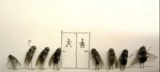 untitled1.webp