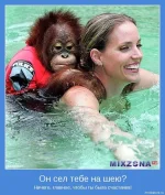 1263922251_motivator-1728.webp