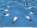 пингвинчеГи.jpg