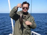 палево.webp