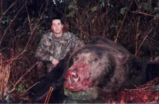 2Tedbear1.webp