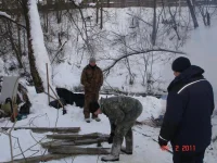 рнд2.webp