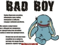 80137632543fe186.webp