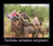 730253_lyubov-nechayano-nagryanet.webp