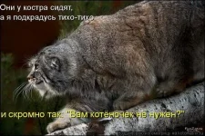 5ffc7d51f61d605b8da5d02f304e045e_full.webp