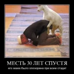 21.webp