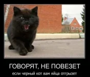 37ffc39560ecbbe765b68436da58a7f2.webp