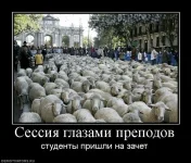 737574.webp