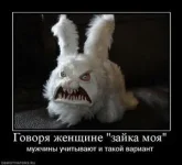 917528_govorya-zhenschine-zajka-moya.thumbnail.webp