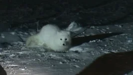 20100209005401(1).webp