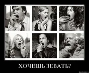x_85fd15ad.webp