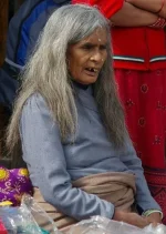 IMGP1689.webp