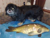 240420101013.webp