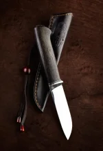 3734192.webp