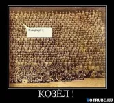 x_f966d00b.webp