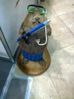 24022011104.webp