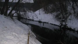 11.webp