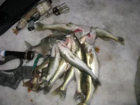 IMG_340711111111111111.webp