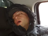 модромо.webp