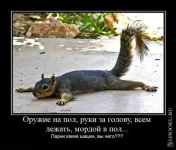 1258889522_2.webp