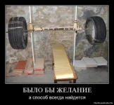 1279211566_otlsvv7vpgmb.webp