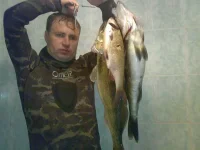 27032011501-уменьшенное.webp