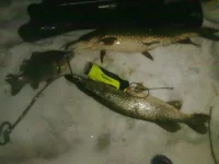 29032011073.webp