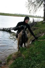 Заряжен.webp