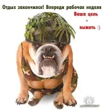 getImage (1).webp