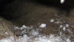 IMG_0226.jpg