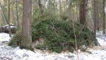 IMG_0250.jpg