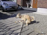 getImage (5).webp